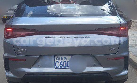 Buy Used BYD E6 Other Car in Addis–Ababa in Ethiopia Buy Used BYD E6 Other Car in Addis–Ababa in Ethiopia