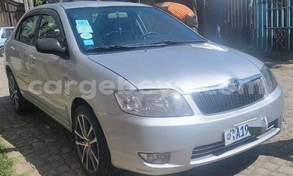 Buy Used Toyota Corolla Other Car in Addis–Ababa in Ethiopia Buy Used Toyota Corolla Other Car in Addis–Ababa in Ethiopia