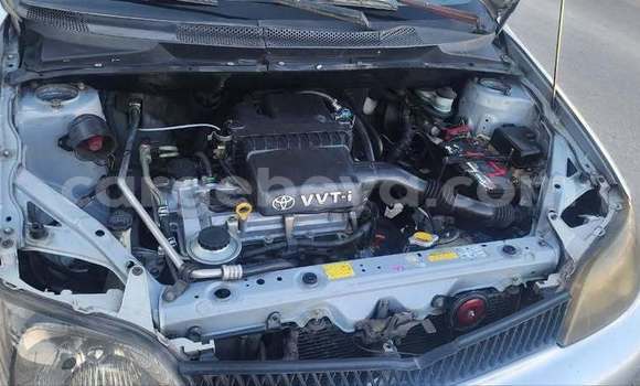 Buy Used Toyota Platz Other Car in Addis–Ababa in Ethiopia Buy Used Toyota Platz Other Car in Addis–Ababa in Ethiopia