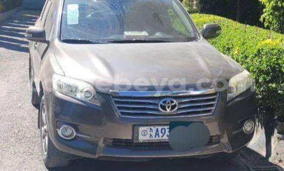 ይግዙ ያገለገለ Toyota RAV4 ሌላ መኪና በ አዲስ አበባ በ ኢትዮጵያ ይግዙ ያገለገለ Toyota RAV4 ሌላ መኪና በ አዲስ አበባ በ ኢትዮጵያ