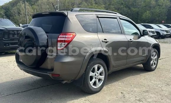 Buy Import Toyota RAV4 Brown Car in Import - Dubai in Ethiopia Buy Import Toyota RAV4 Brown Car in Import - Dubai in Ethiopia
