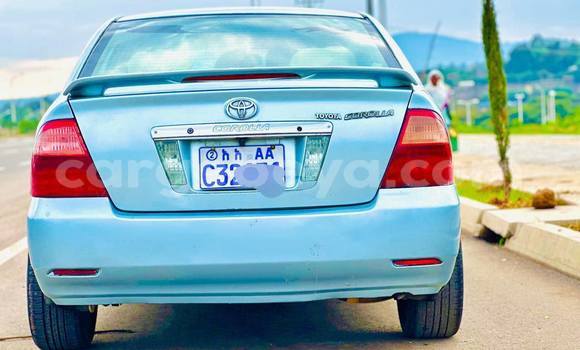 Oofamaa Toyota Corolla Other Makiinaa iti Addis ababa keessatti Africa keessatti Oofamaa Toyota Corolla Other Makiinaa iti Addis ababa keessatti Africa keessatti