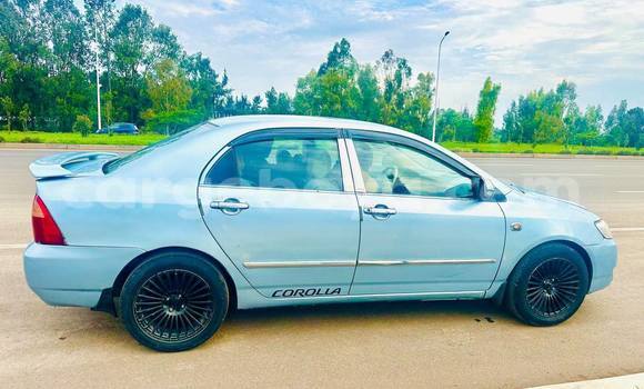 Acheter Occasion Voiture Toyota Corolla Autre à Addis ababa, Africa Acheter Occasion Voiture Toyota Corolla Autre à Addis ababa, Africa