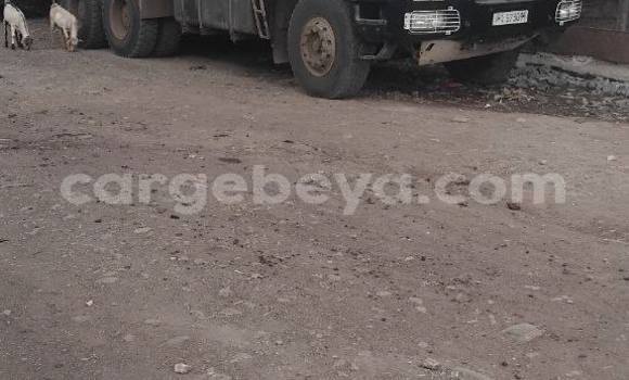 Buy Used Iveco Genlyon White Truck in Addis ababa in Africa