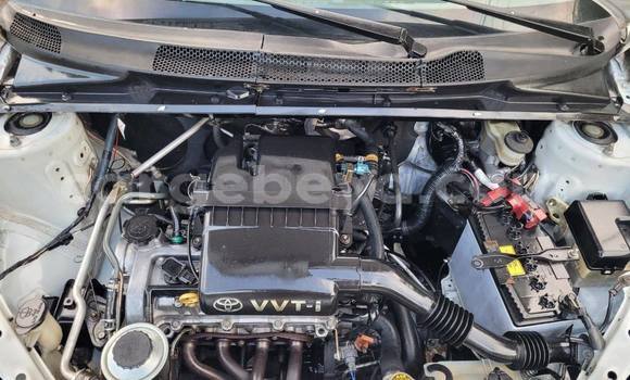 Acheter Occasion Voiture Toyota Platz Blanc à Addis Ababa, Ethiopie Acheter Occasion Voiture Toyota Platz Blanc à Addis Ababa, Ethiopie