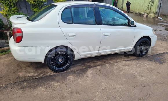 Acheter Occasion Voiture Toyota Platz Blanc à Addis Ababa, Ethiopie Acheter Occasion Voiture Toyota Platz Blanc à Addis Ababa, Ethiopie
