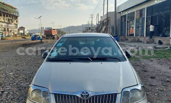 Acheter Occasion Voiture Toyota Corolla Autre à Addis ababa, Africa Acheter Occasion Voiture Toyota Corolla Autre à Addis ababa, Africa