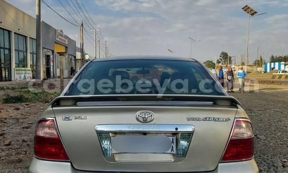 Acheter Occasion Voiture Toyota Corolla Autre à Addis ababa, Africa Acheter Occasion Voiture Toyota Corolla Autre à Addis ababa, Africa