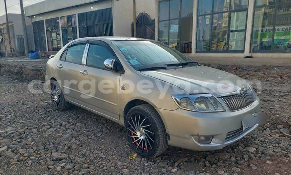 Acheter Occasion Voiture Toyota Corolla Autre à Addis ababa, Africa Acheter Occasion Voiture Toyota Corolla Autre à Addis ababa, Africa