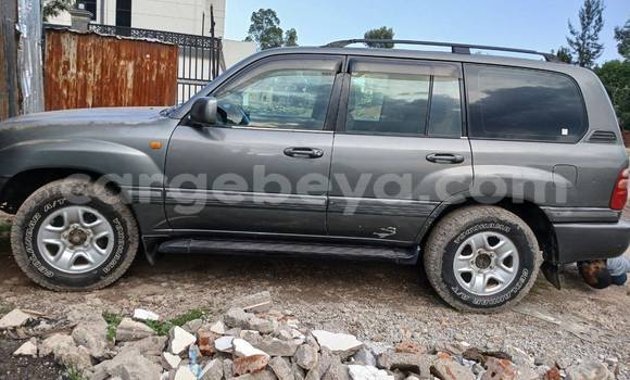 ይግዙ ያገለገለ Toyota Land Cruiser ሌላ መኪና በ አዲስ አበባ በ ኢትዮጵያ ይግዙ ያገለገለ Toyota Land Cruiser ሌላ መኪና በ አዲስ አበባ በ ኢትዮጵያ