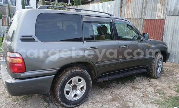 ይግዙ ያገለገለ Toyota Land Cruiser ሌላ መኪና በ አዲስ አበባ በ ኢትዮጵያ ይግዙ ያገለገለ Toyota Land Cruiser ሌላ መኪና በ አዲስ አበባ በ ኢትዮጵያ