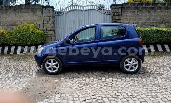 ይግዙ ያገለገለ Toyota Vitz ሰማያዊ መኪና በ Addis ababa በ Africa ይግዙ ያገለገለ Toyota Vitz ሰማያዊ መኪና በ Addis ababa በ Africa