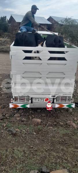 Big with watermark suzuki dzire africa addis ababa 12815