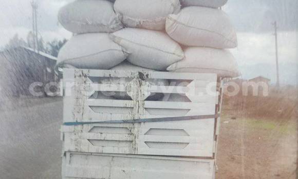 Buy Used Suzuki Dzire White Truck in Addis ababa in Africa Buy Used Suzuki Dzire White Truck in Addis ababa in Africa