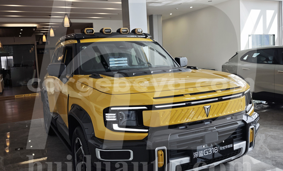 Buy Used Changan Hunter Other Car in Abomsa in Oromia