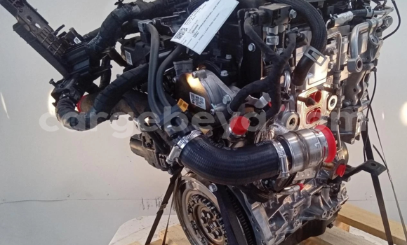 Buy 2021 KIA SPORTAGE 1.6L in Addis–Ababa in Ethiopia Buy 2021 KIA SPORTAGE 1.6L in Addis–Ababa in Ethiopia