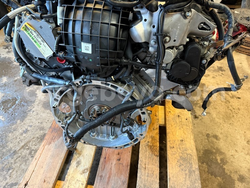 Big with watermark 5