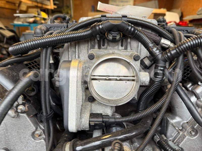 Big with watermark 12