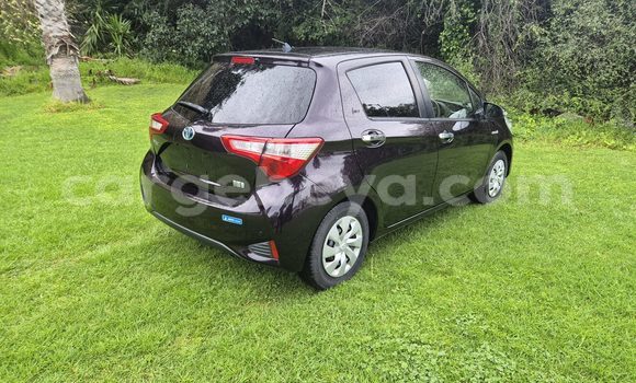 Buy Used Toyota Vitz Black Car in Addis–Ababa in Ethiopia Buy Used Toyota Vitz Black Car in Addis–Ababa in Ethiopia