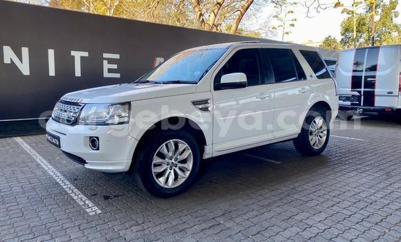 Buy Used Land Rover Freelander White Car in Addis–Ababa in Ethiopia Buy Used Land Rover Freelander White Car in Addis–Ababa in Ethiopia