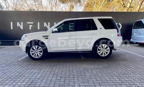 Buy Used Land Rover Freelander White Car in Addis–Ababa in Ethiopia Buy Used Land Rover Freelander White Car in Addis–Ababa in Ethiopia