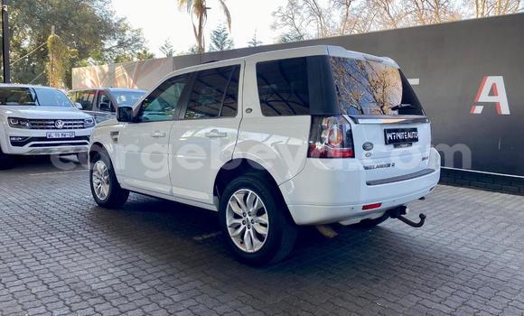 Buy Used Land Rover Freelander White Car in Addis–Ababa in Ethiopia Buy Used Land Rover Freelander White Car in Addis–Ababa in Ethiopia