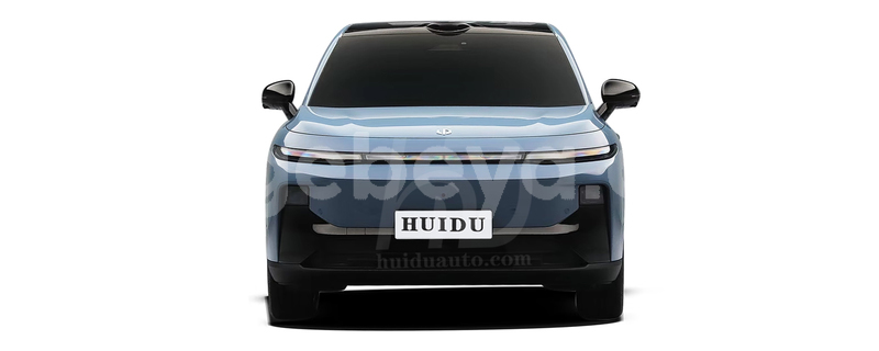 Big with watermark leapmotor t03 oromia alem maya 13029