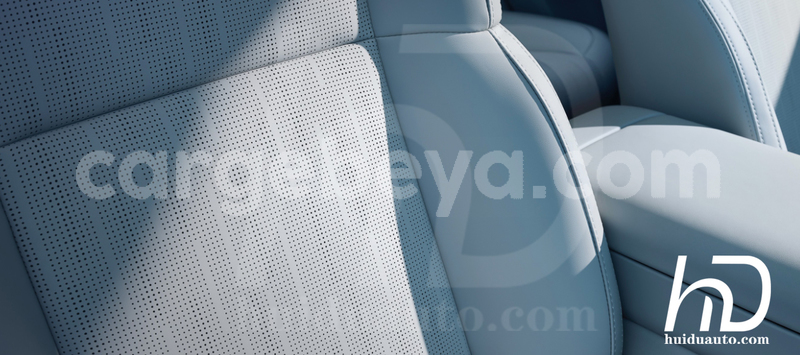 Big with watermark leapmotor t03 oromia alem maya 13029