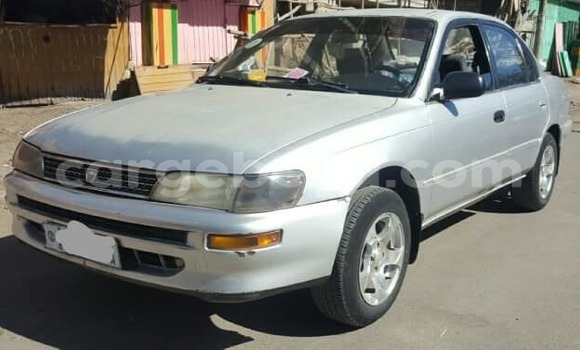 Buy Used Toyota Corolla Silver Car in Addis–Ababa in Ethiopia Buy Used Toyota Corolla Silver Car in Addis–Ababa in Ethiopia