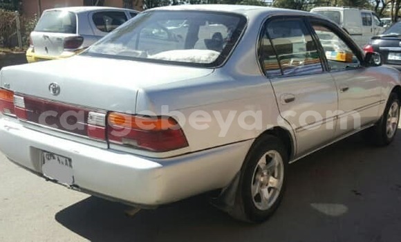 Buy Used Toyota Corolla Silver Car in Addis–Ababa in Ethiopia Buy Used Toyota Corolla Silver Car in Addis–Ababa in Ethiopia