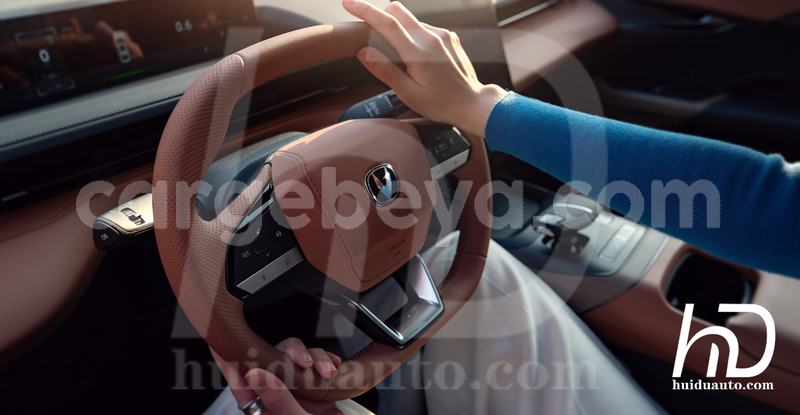 Big with watermark changan eado ev ethiopia addiet canna 13044