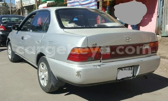 Buy Used Toyota Corolla Silver Car in Addis–Ababa in Ethiopia Buy Used Toyota Corolla Silver Car in Addis–Ababa in Ethiopia