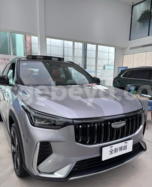 Big with watermark geely beauty leopard ethiopia addis ababa 13058