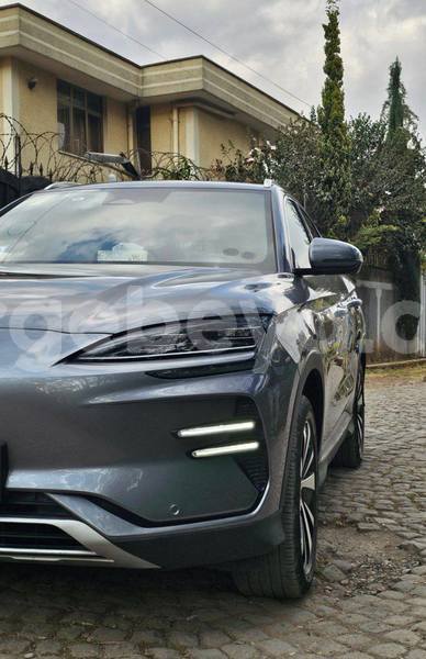 Big with watermark byd s6 africa addis ababa 13065