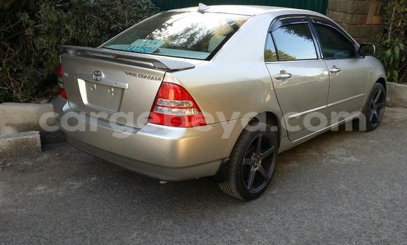 Haaraa Toyota Corolla Other Makiinaa iti Addis–Ababa keessatti Ethiopia keessatti Haaraa Toyota Corolla Other Makiinaa iti Addis–Ababa keessatti Ethiopia keessatti