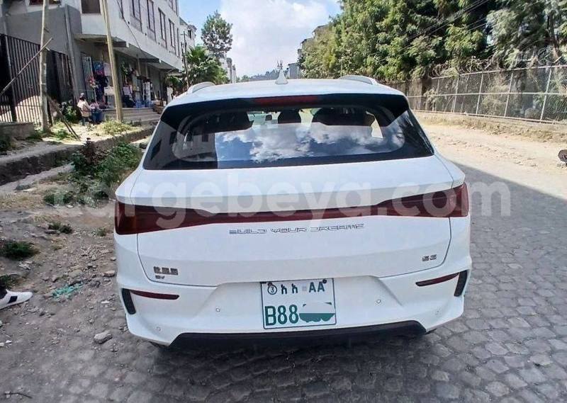 Big with watermark byd e6 ethiopia addis ababa 13085