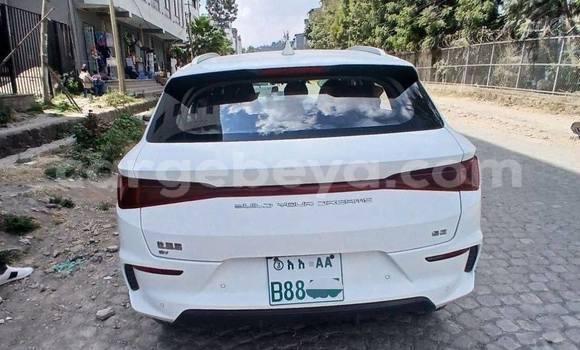 Buy Used BYD E6 White Car in Addis–Ababa in Ethiopia Buy Used BYD E6 White Car in Addis–Ababa in Ethiopia
