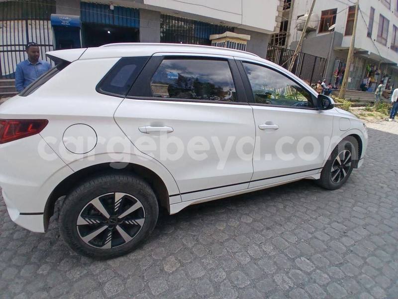 Big with watermark byd e6 ethiopia addis ababa 13085