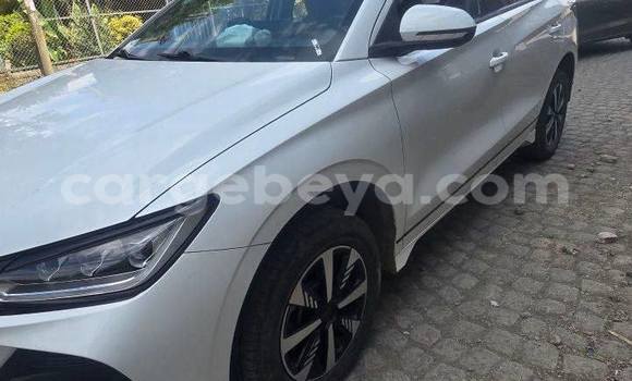 Buy Used BYD E6 White Car in Addis–Ababa in Ethiopia Buy Used BYD E6 White Car in Addis–Ababa in Ethiopia