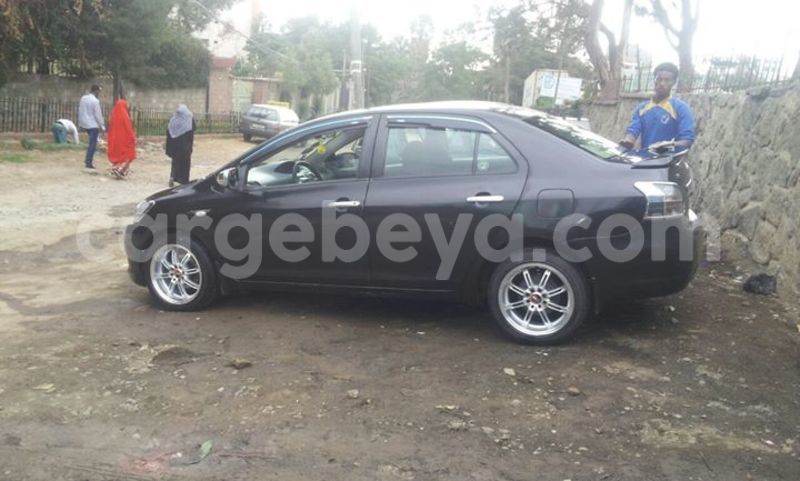 Big with watermark 14316981 10210707138857845 8349215952595816907 n