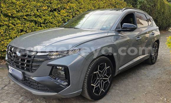 Oofamaa Hyundai Tucson Blue Makiinaa iti Addis ababa keessatti Africa keessatti Oofamaa Hyundai Tucson Blue Makiinaa iti Addis ababa keessatti Africa keessatti