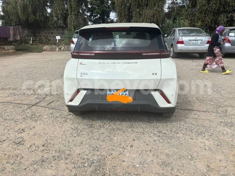 Big with watermark byd e6 ethiopia addis ababa 13106