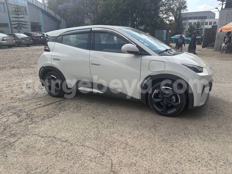 Big with watermark byd e6 ethiopia addis ababa 13106