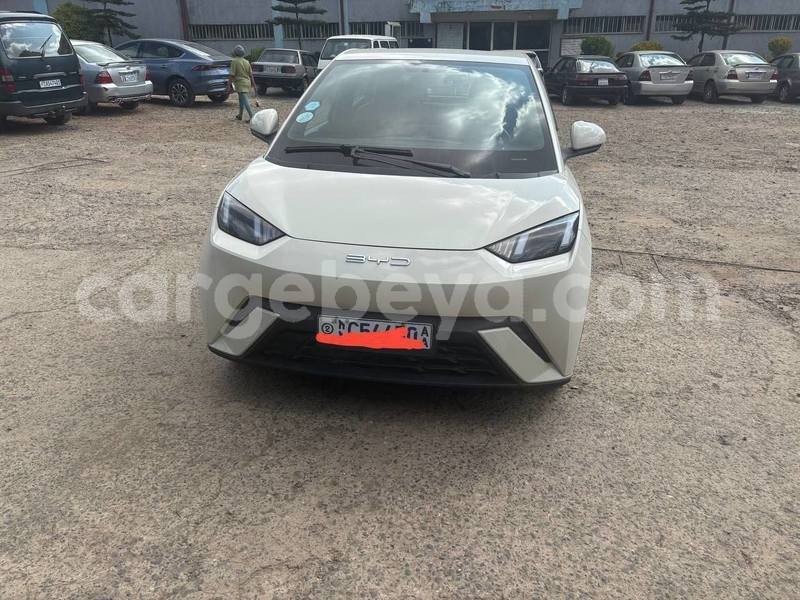 Big with watermark byd e6 ethiopia addis ababa 13106