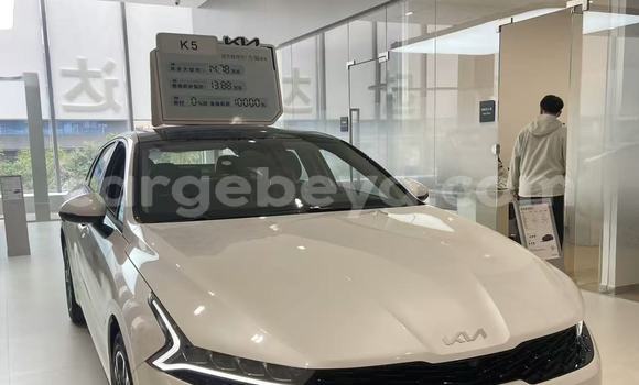 Buy New Kia K5 White Car in Addis ababa in Africa Buy New Kia K5 White Car in Addis ababa in Africa