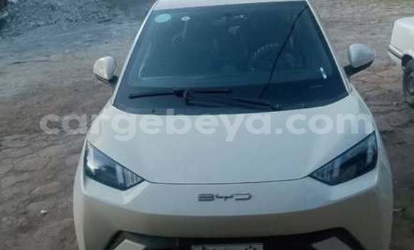 Buy Used BYD Seagull Other Car in Addis–Ababa in Ethiopia
