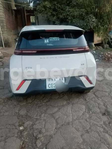 Big with watermark byd seagull ethiopia addis ababa 13133