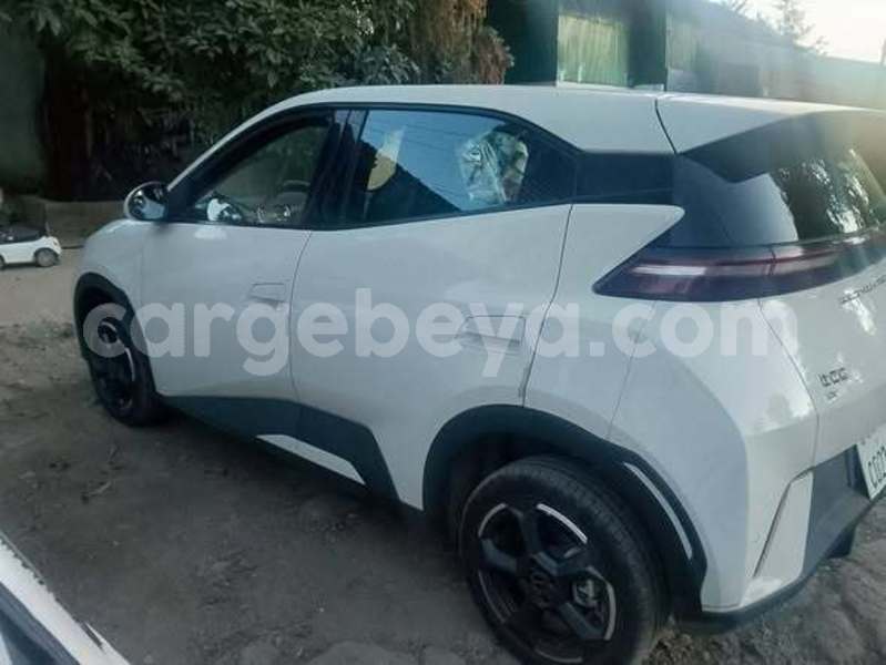 Big with watermark byd seagull ethiopia addis ababa 13133