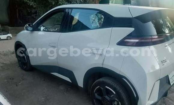 Buy Used BYD Seagull Other Car in Addis–Ababa in Ethiopia Buy Used BYD Seagull Other Car in Addis–Ababa in Ethiopia