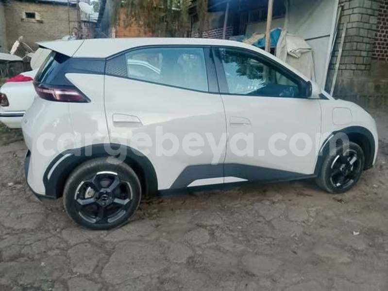 Big with watermark byd seagull ethiopia addis ababa 13133